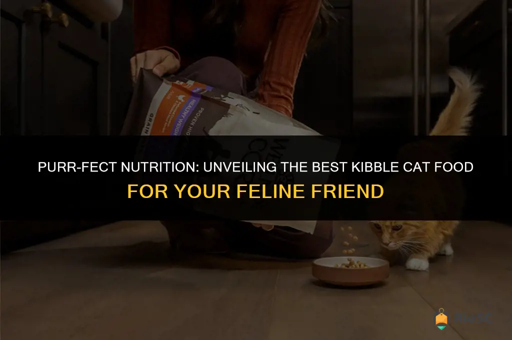 best kibble cat food