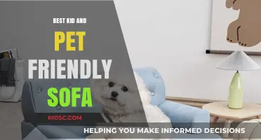 Ultimate Comfort for Little Ones and Furry Friends: Discover the Best Kid and Pet Friendly Sofa
