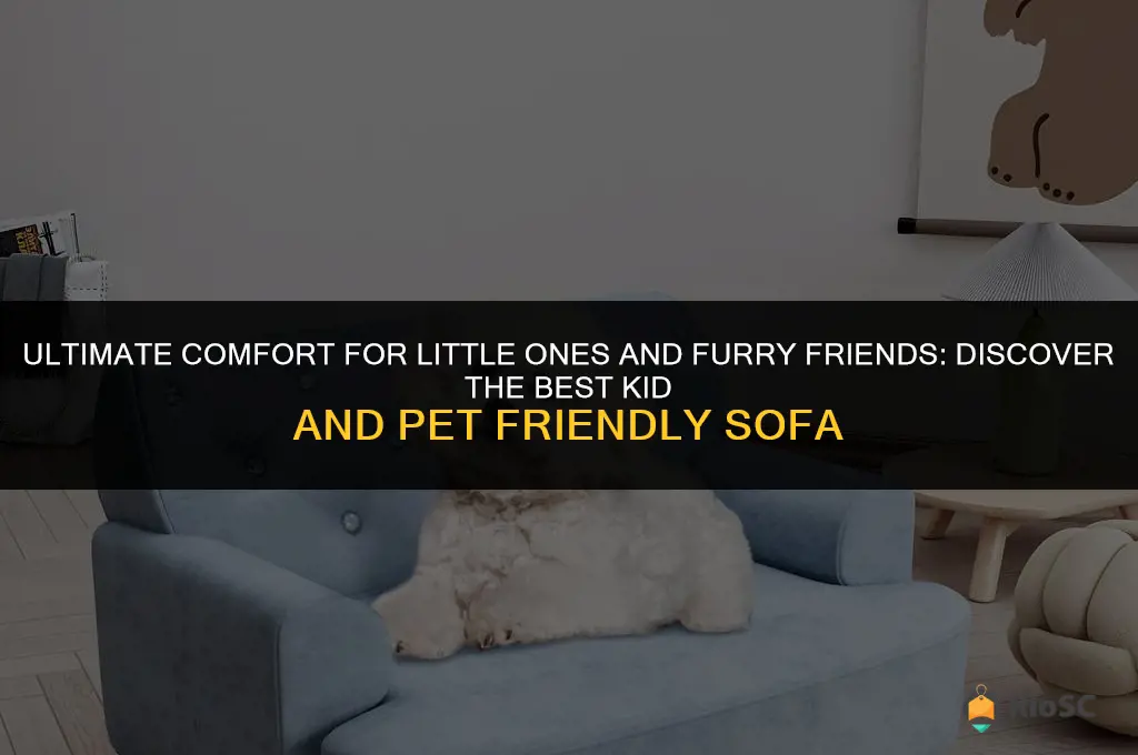 best kid and pet friendly sofa