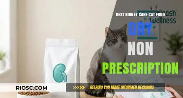 Top Picks for Kidney-Friendly Dry Cat Food: Non-Prescription Options for Optimal Feline Health