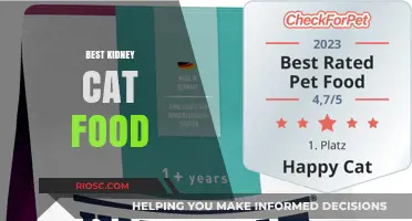 Top Picks for Kidney-Friendly Cat Food: Nourishing Your Feline Companion