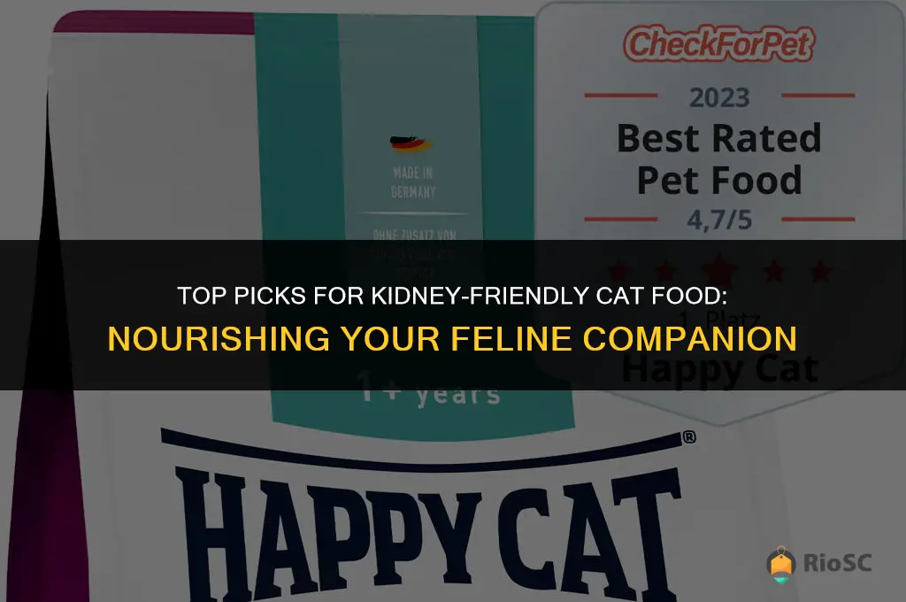 best kidney cat food