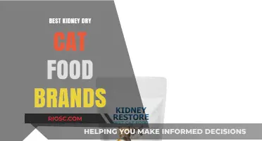 Top-Rated Kidney-Friendly Dry Cat Food Brands for Optimal Feline Health