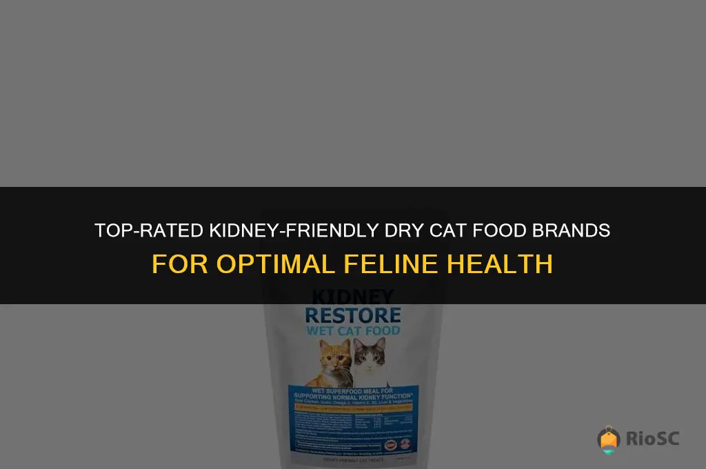 best kidney dry cat food brands