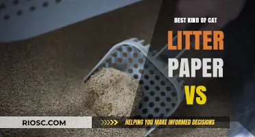Paper vs. Clay: Which Cat Litter Reigns Supreme for Your Feline Friend?
