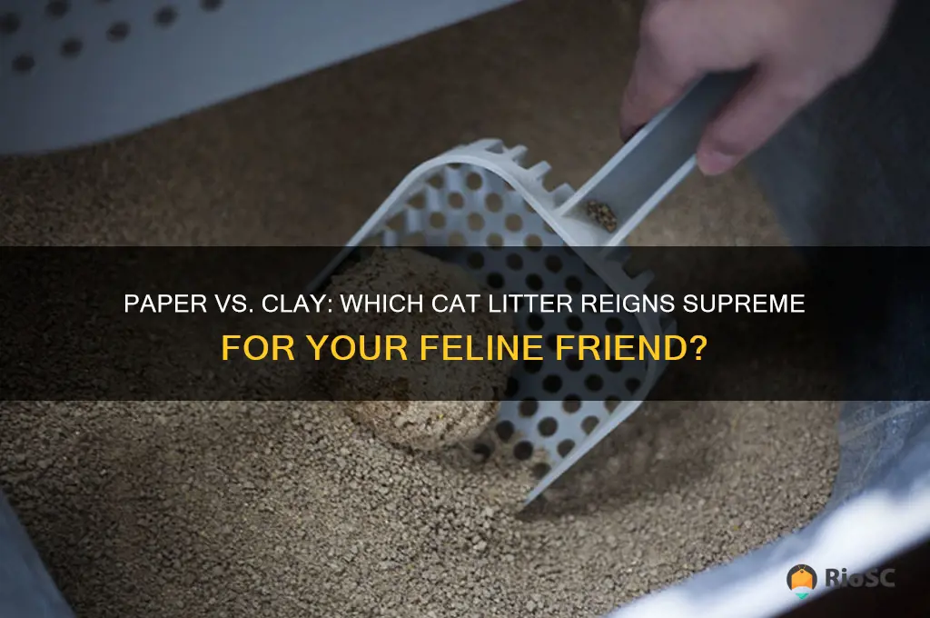 best kind of cat litter paper vs
