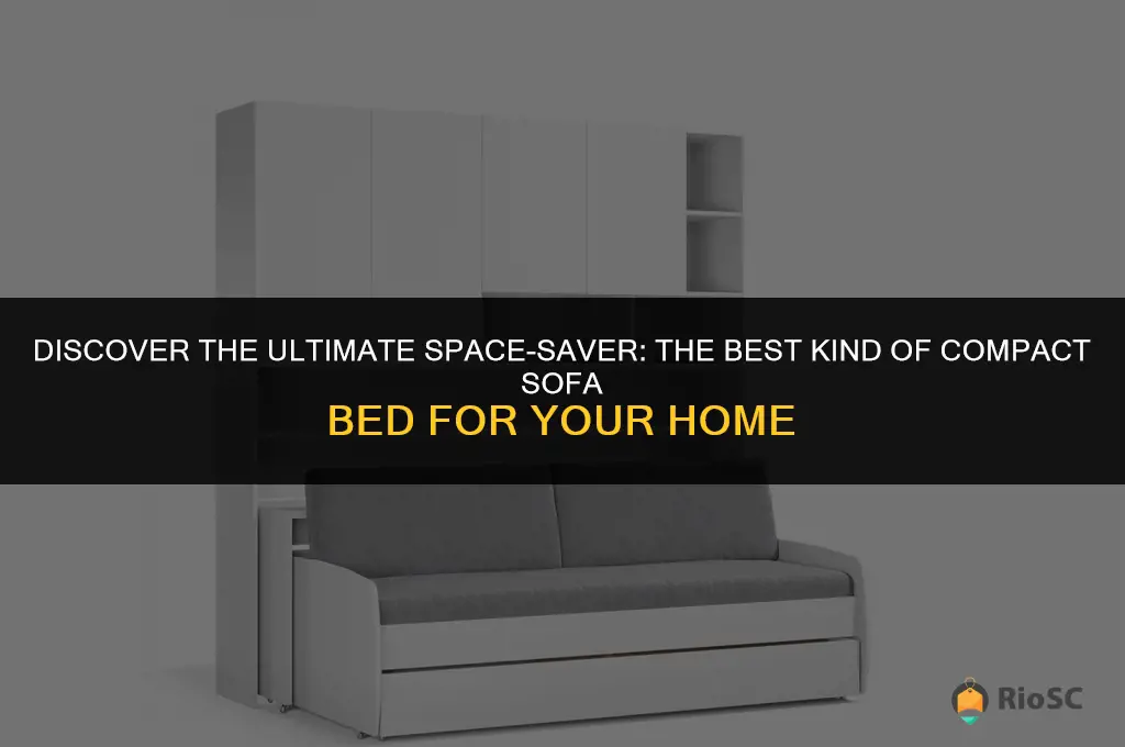 best kind of compact sofa bed