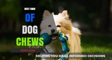 Top Dog Chews: Safe and Healthy Options for Your Canine Companion