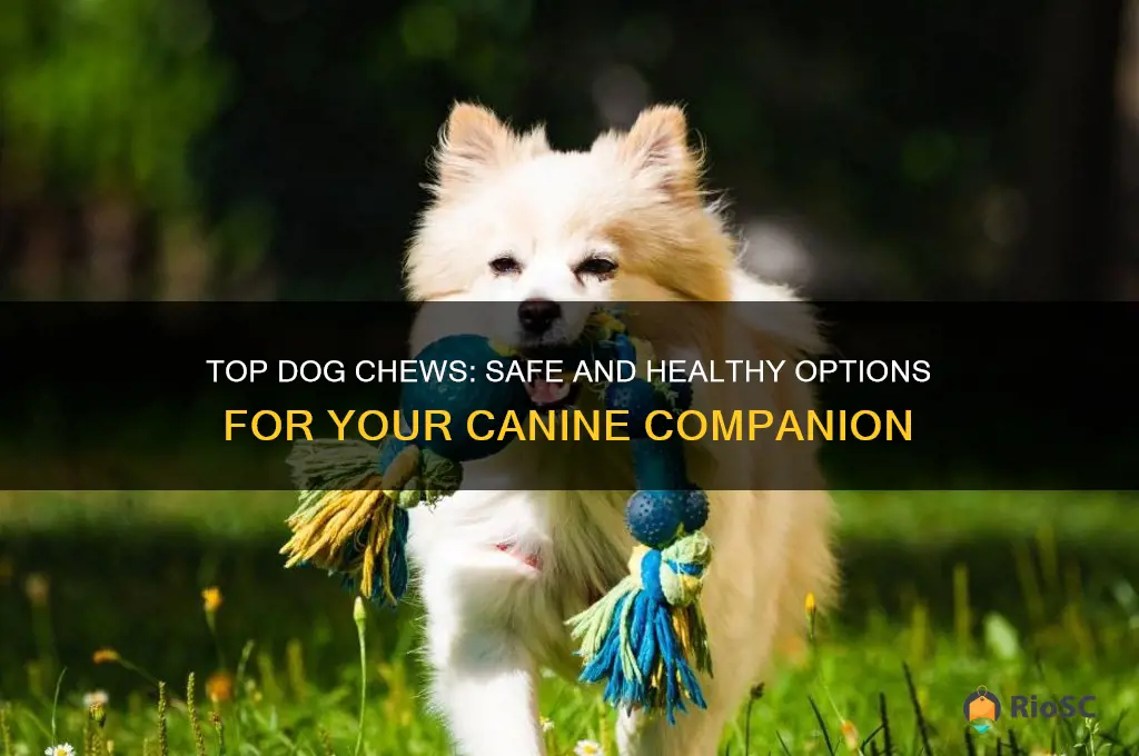 best kind of dog chews