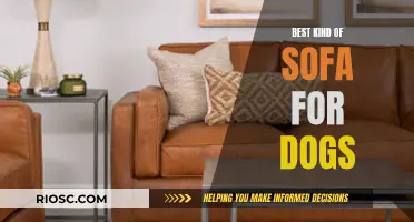 Ultimate Comfort for Canine Companions: Choosing the Perfect Sofa for Your Dog