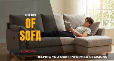 Discover the Ultimate Comfort: A Guide to Choosing the Best Kind of Sofa for Your Home