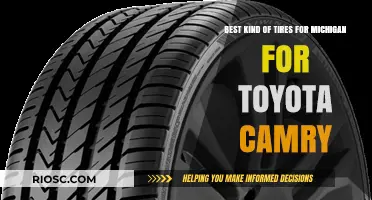 Top Tire Recommendations for Toyota Camry Drivers in Michigan’s Varied Climate