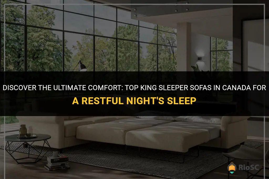 best king sleeper sofa canada