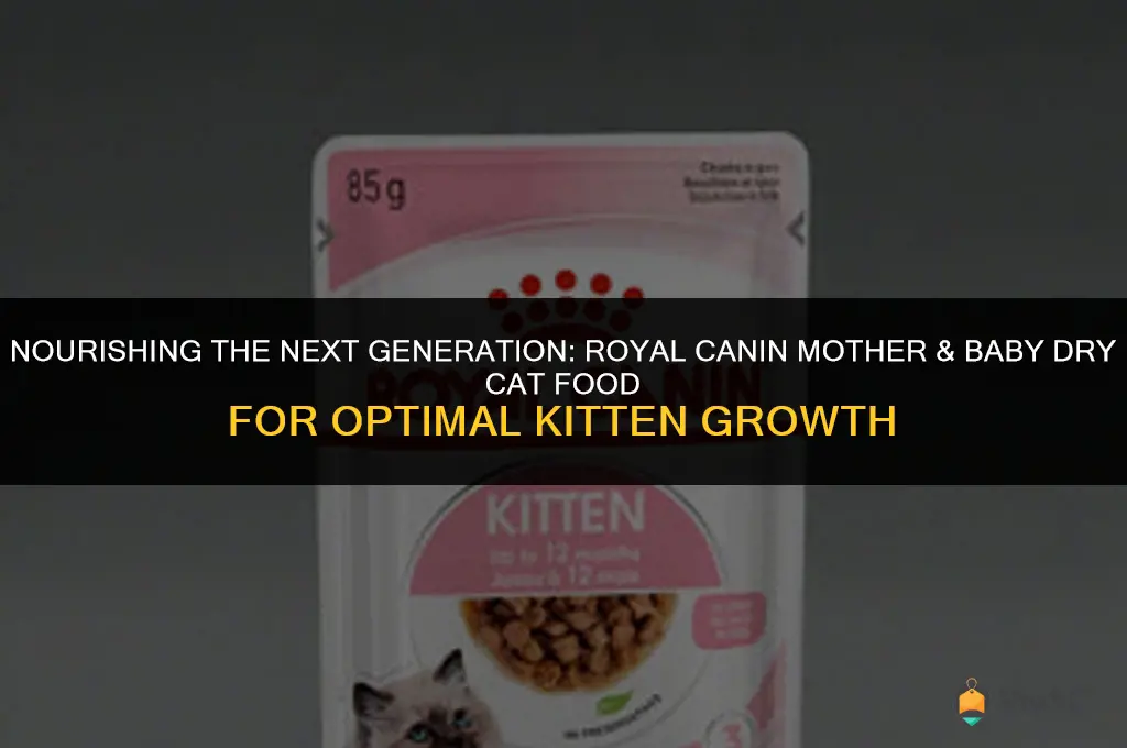 best kitten royal canin mother & baby dry cat food