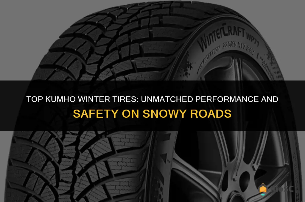 best kumho winter tires