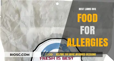 Hypoallergenic Lamb Dog Food: Top Picks for Allergy Relief and Optimal Nutrition