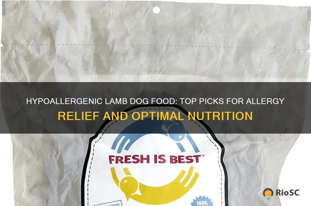 best lamb dog food for allergies
