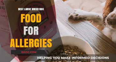 Top Hypoallergenic Dog Food Options for Large Breeds with Allergies