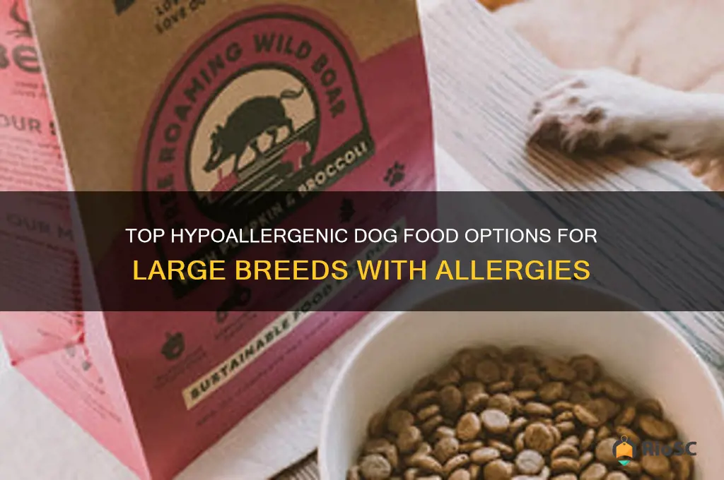 best large breed dog food for allergies