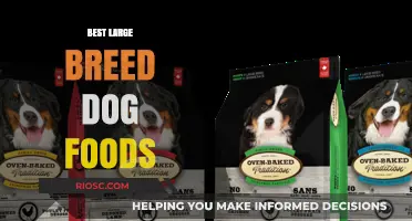 Top Picks for Your Big Furry Friend: The Best Large Breed Dog Foods