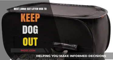 Pet-Proof Your Space: Top Large Cat Litter Boxes Designed to Keep Dogs Out
