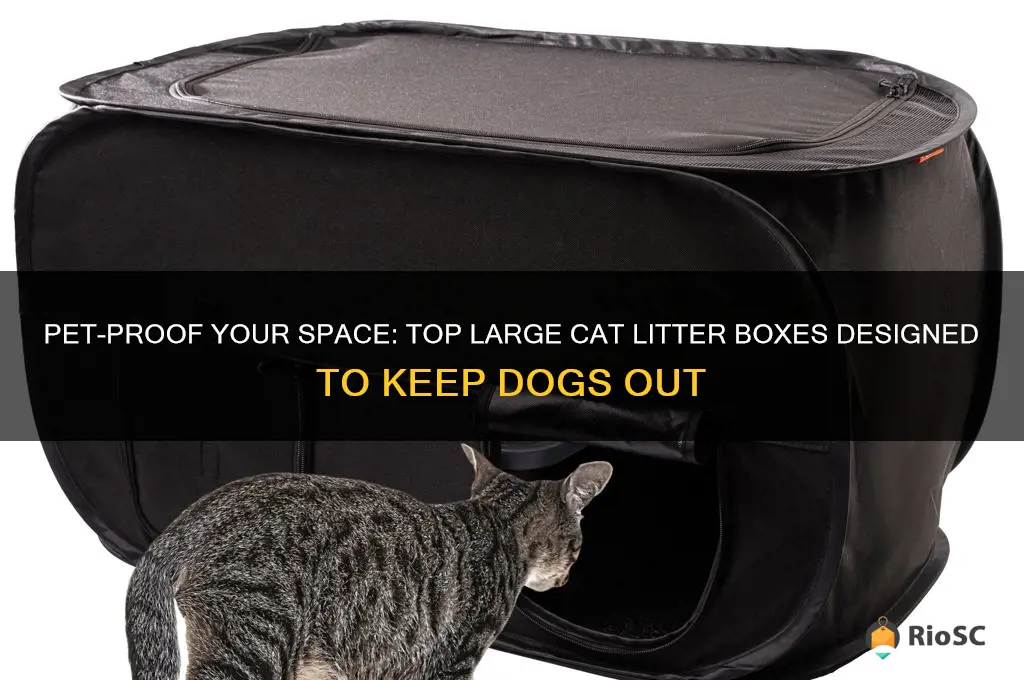 best large cat litter box to keep dog out