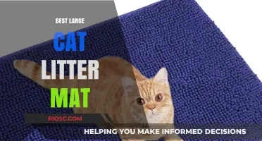 Top-Rated Large Cat Litter Mats to Keep Your Home Clean and Tidy
