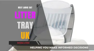 Top-Rated Large Cat Litter Trays in the UK: Spacious Solutions for Your Feline Friend