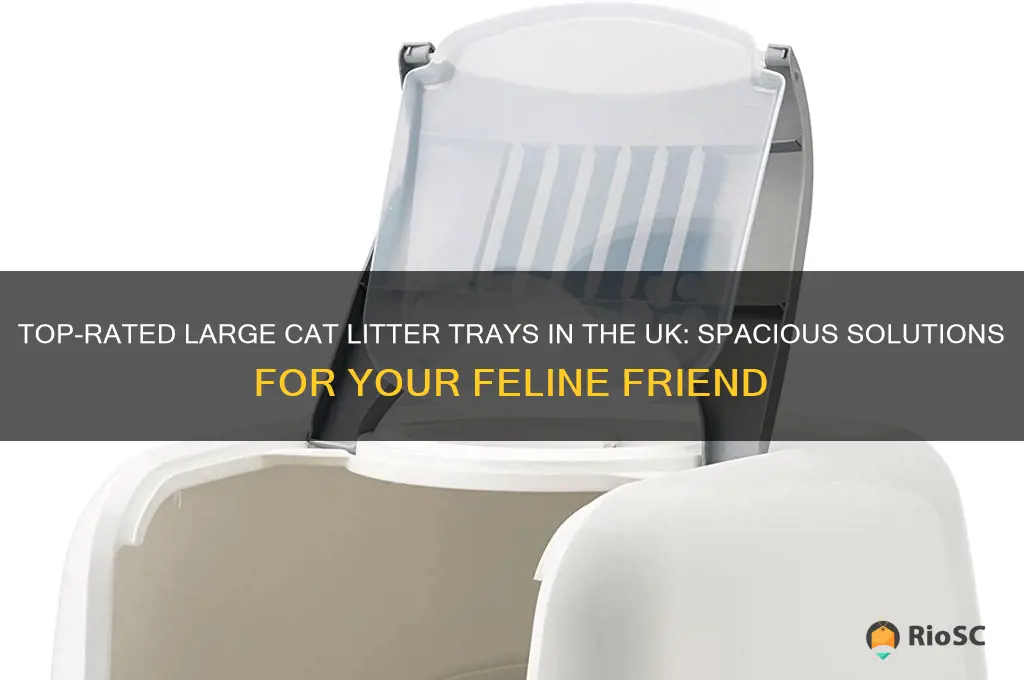 best large cat litter tray uk