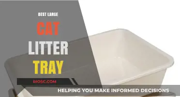 Top Picks for the Best Large Cat Litter Tray: Spacious Solutions for Your Feline Friend