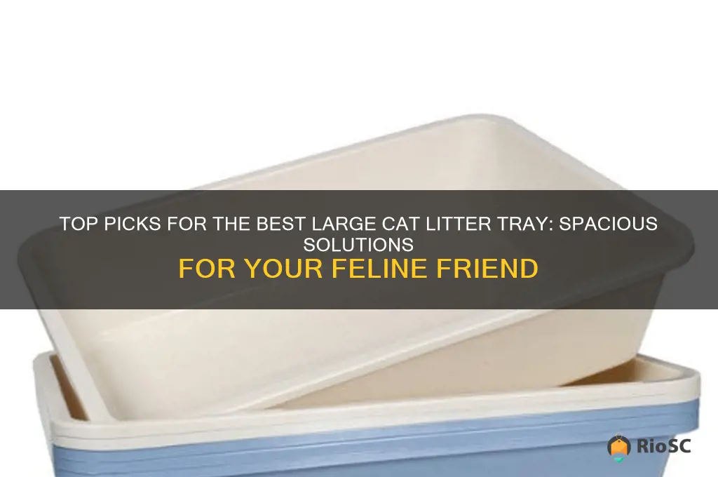 best large cat litter tray