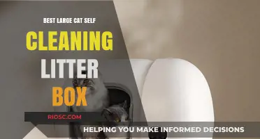 Revolutionize Your Cat Care: Top Self-Cleaning Litter Boxes for Large Cats