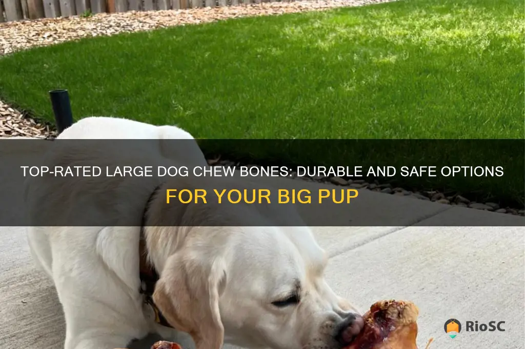 best large dog chew bones