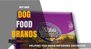 Top-Rated Large Dog Food Brands: A Comprehensive Guide for Pet Owners