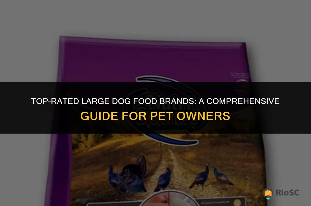 best large dog food brands