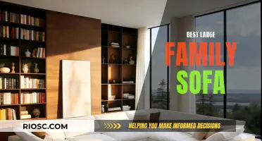 Discover the Perfect Large Family Sofa: Comfort, Style, and Space for Everyone