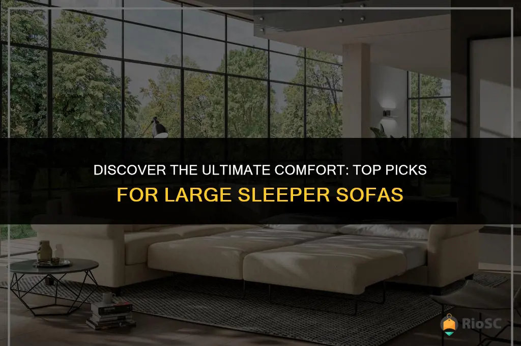 best large sleeper sofa