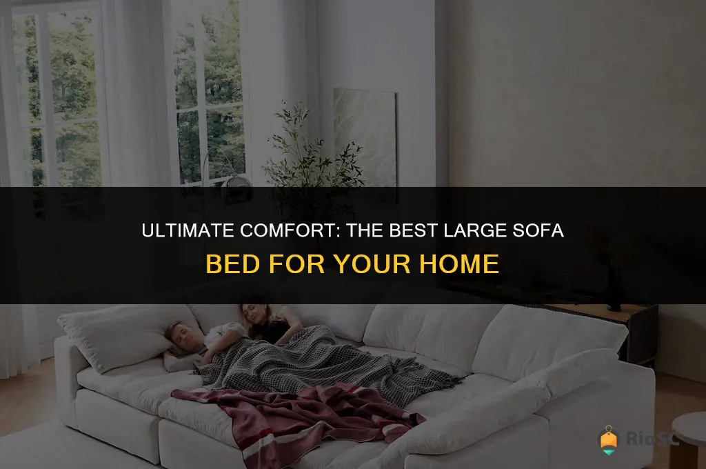 best large sofa bed