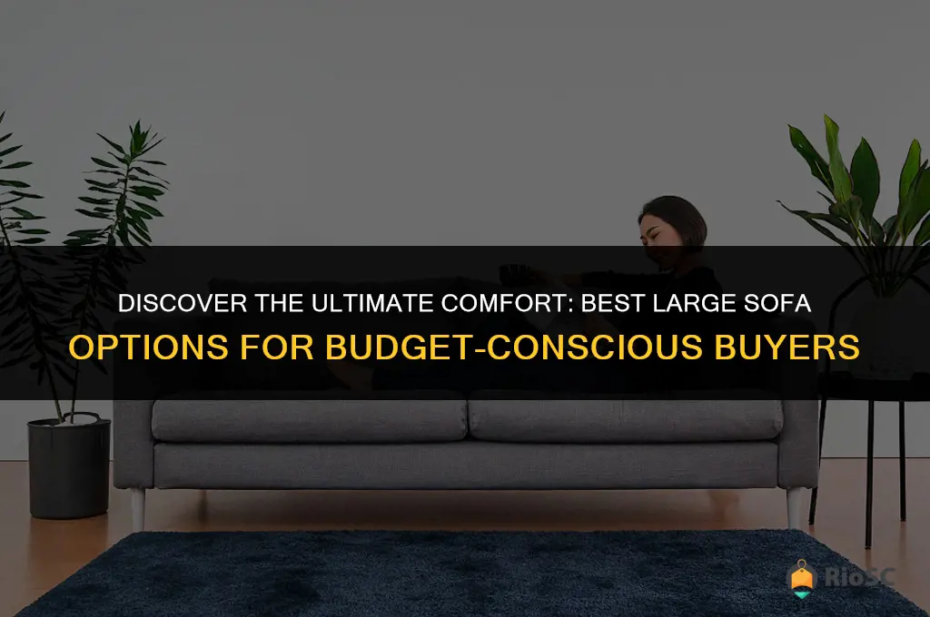 best large sofa on a budget