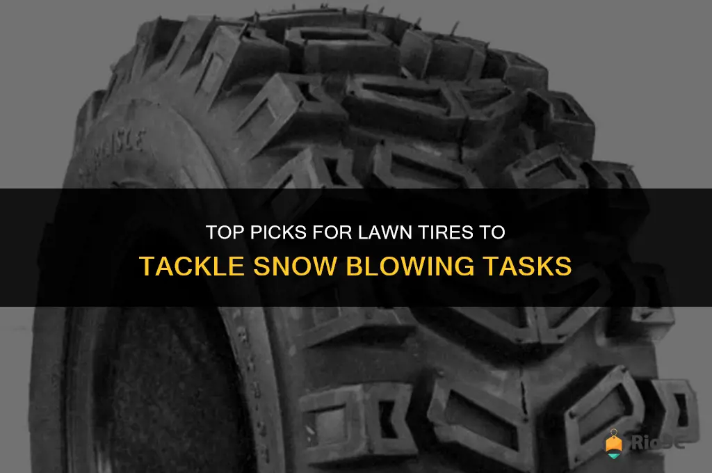 best lawn tires for snow blower