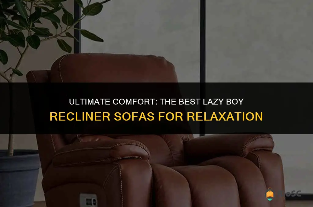 best lazy boy recliner sofas
