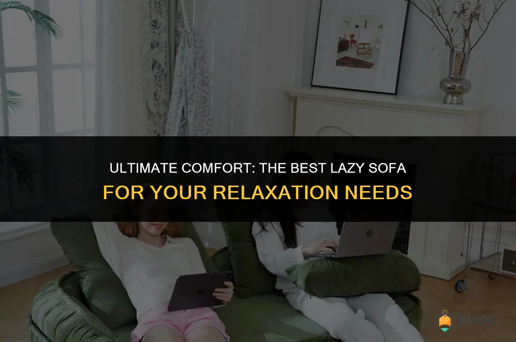 best lazy sofa