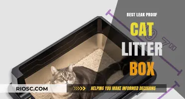 Top Leak-Proof Cat Litter Boxes: Keep Your Floors Clean and Mess-Free