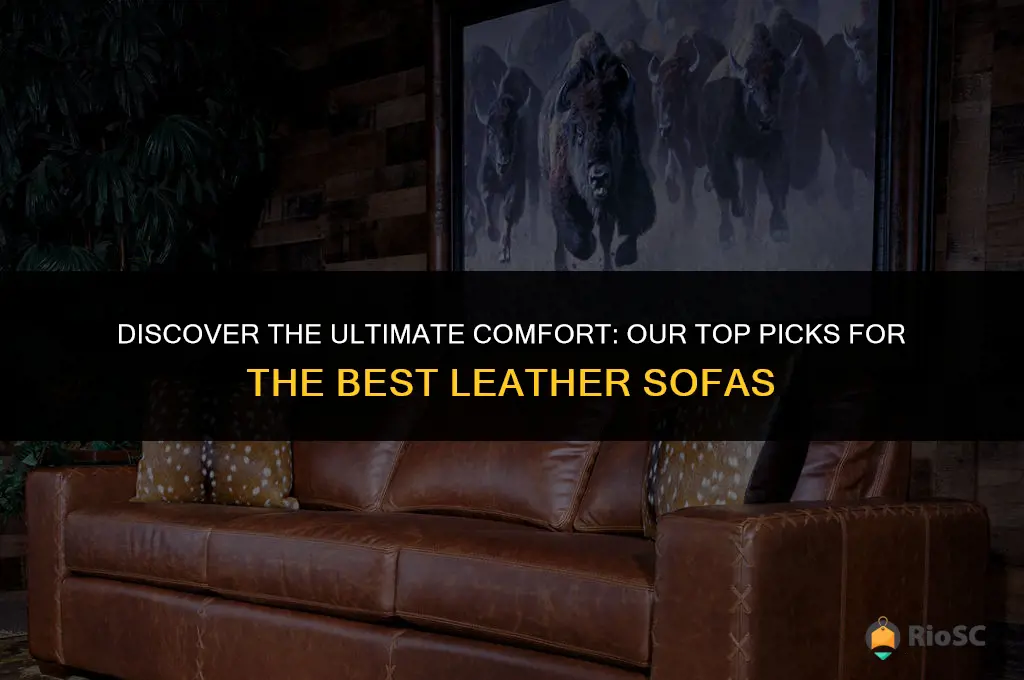 best learher sofa