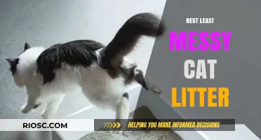 Top Picks for the Least Messy Cat Litter: Keep Your Home Clean and Your Cat Happy
