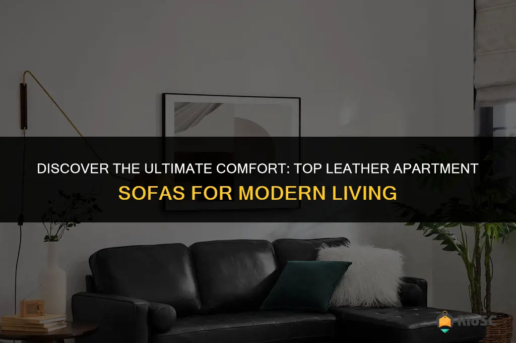 best leather apartment sofa