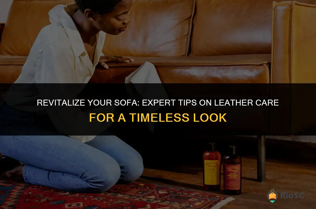 best leather care for sofa
