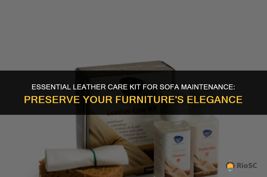 best leather care kit for sofa