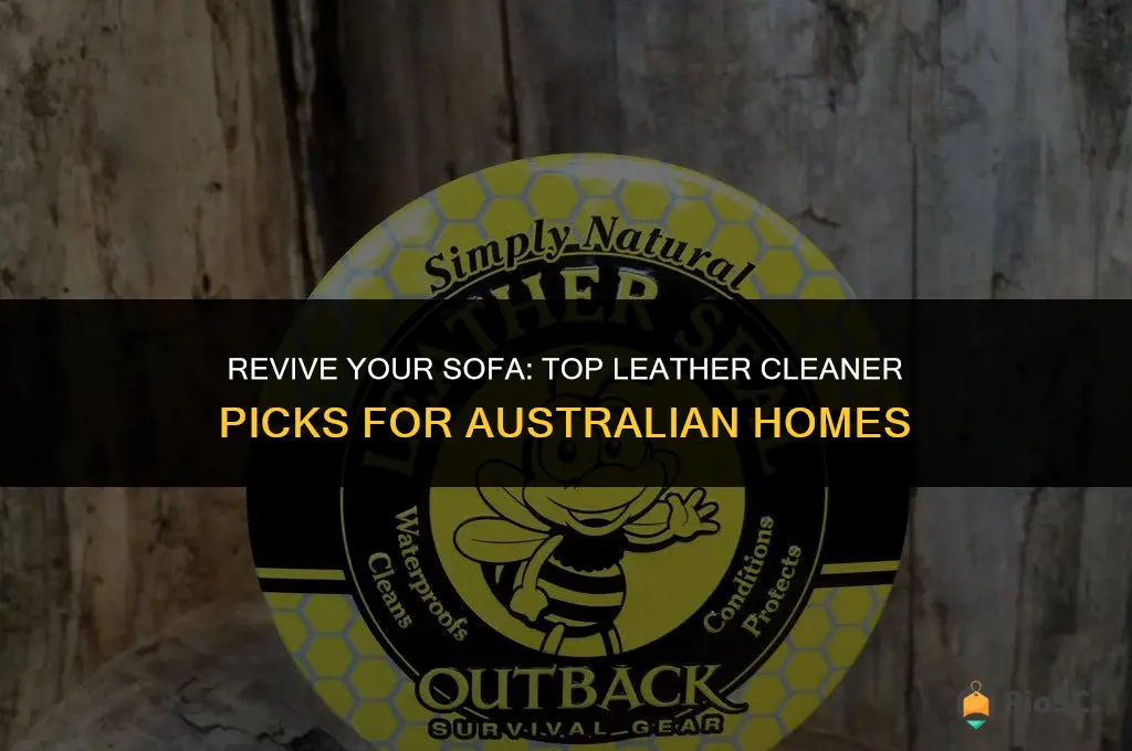 best leather cleaner for sofas australia