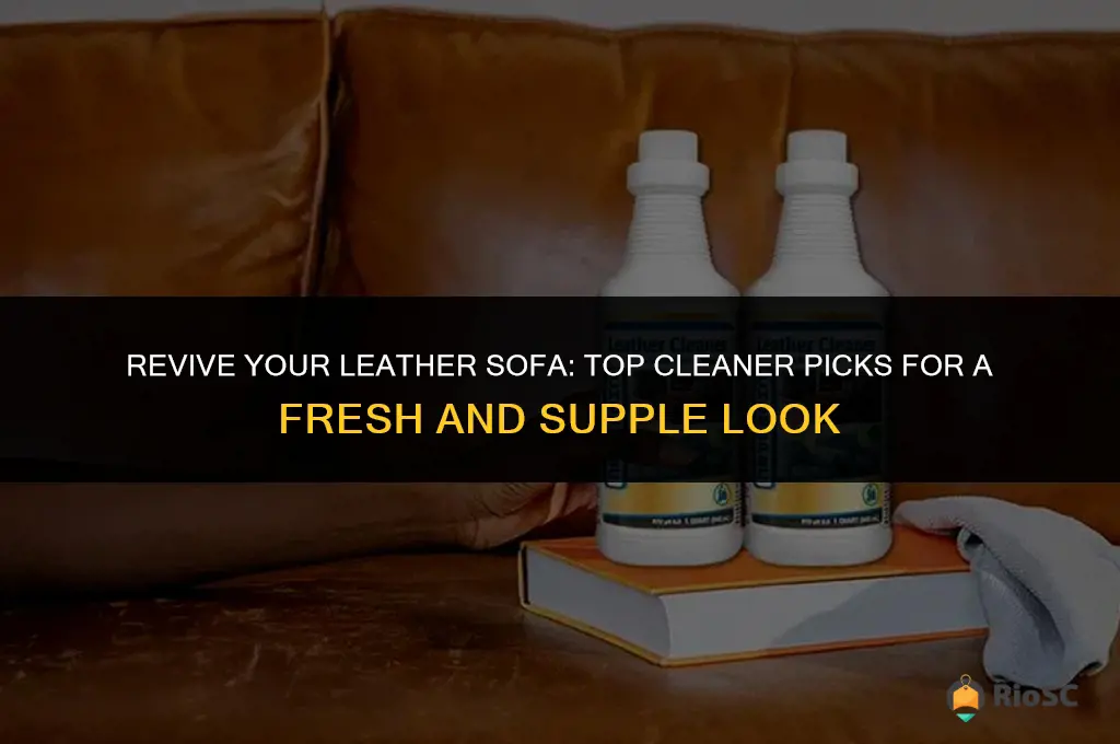 best leather cleaner sofa